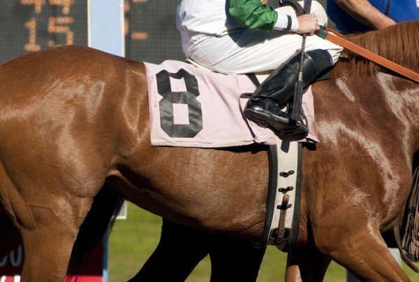 A brown horse with a rider on it