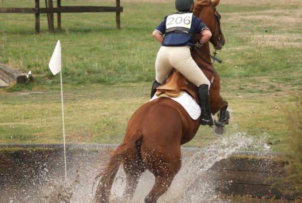 A horse and rider jumping through the water on an agility course