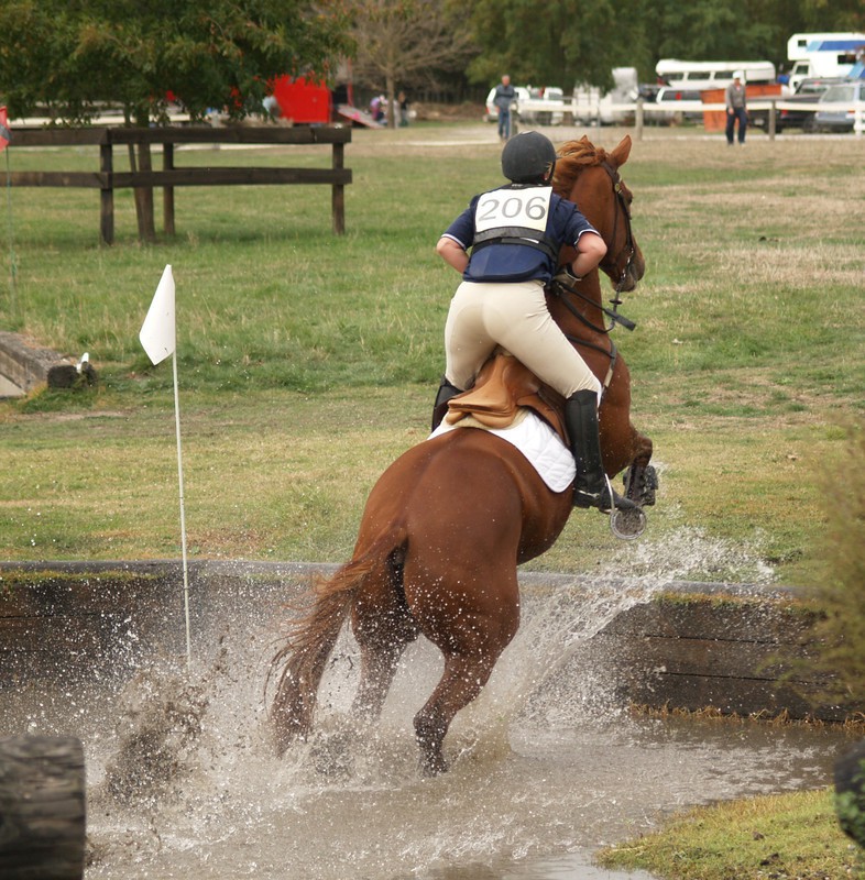straight active horse anal bestiality videos
